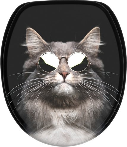 Sanilo WC-Sitz »Cool Cat«, mit Absenkautomatik Cool Cat, Schwarz, Oval