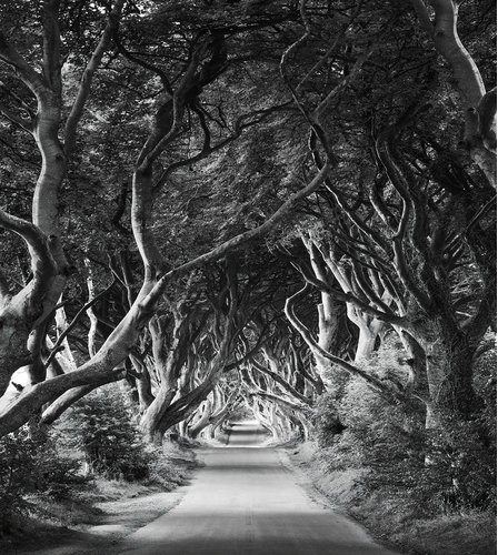 KOMAR Vliestapete »Forevenue«, Breite 250 cm, seidenmatt - bunt