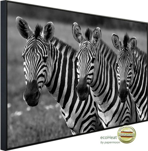 Thumbnail - papermoon Infrarotheizung »EcoHeat - Zebras Schwarz + Weiss«, Matt-Effekt - bunt