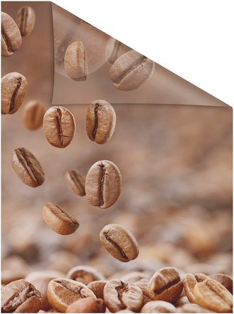 Lichtblick Fensterfolie, Polyvinylchlorid (PVC), Format: 100 x 180 cm (B x L) cm - braun