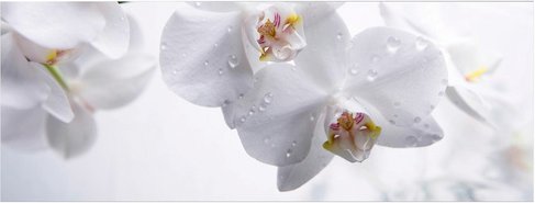 mySPOTTI Badrückwand »Orchid«, BxH:120 cm x 45 cm, weiß