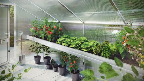 KGT Pflanzwanne »Rose«, BxLxH: 429 x 63,5 x 10 cm, Aluminium