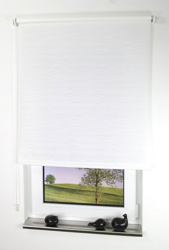 LIEDECO Seitenzug-Rollo, weiß, Polyester - weiss