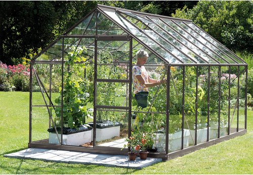 VITAVIA Firstkrone - gruen