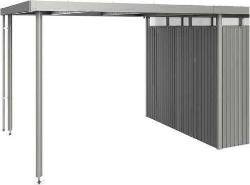 BIOHORT Seitendach »HighLine«, Edelstahl/Stahlblech, B x T x H: 282 x 275 x 222 cm - grau