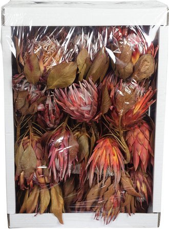 Flowerbox Trockenblumen - rot