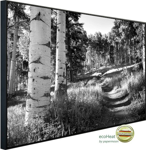 Thumbnail - papermoon Infrarotheizung »EcoHeat - Birkenwald Schwarz + Weiss«, Matt-Effekt - bunt