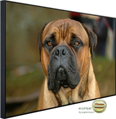 Thumbnail - papermoon Infrarotheizung »EcoHeat - Bullmastiff«, Matt-Effekt - bunt