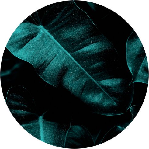 K&L Wall Art Vliestapete »Runde Vliestapete«, Kubistika Tropische Dschungel, mehrfarbig, matt - bunt