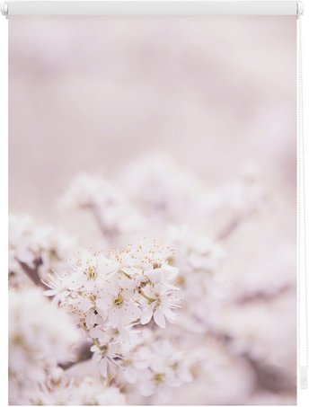 Thumbnail - Lichtblick Rollo, Klemmfix, 120x150 cm, Kirschblüten, rosa weiß - weiss