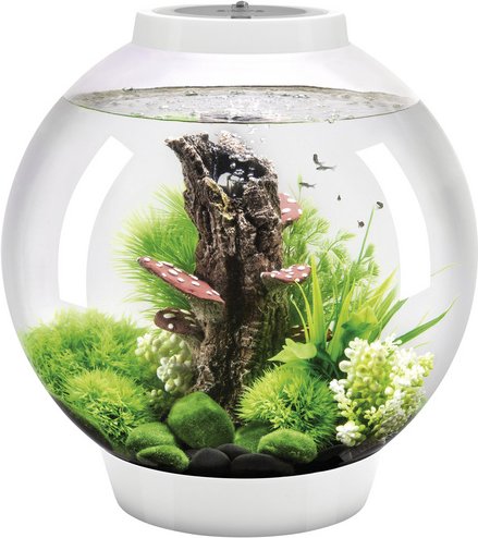 OASE Tabletop Aquarien »biOrb CLASSIC«, mit LED Beleuchtung, 30 l, weiss