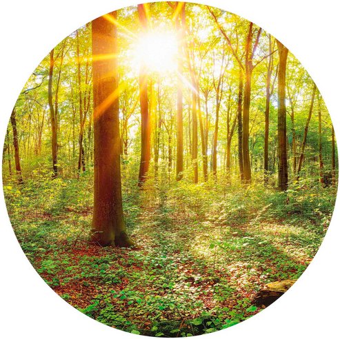 K&L Wall Art Vliestapete »Runde Vliestapete«, Tief Wald Natur Vintage Deko, mehrfarbig, matt - bunt
