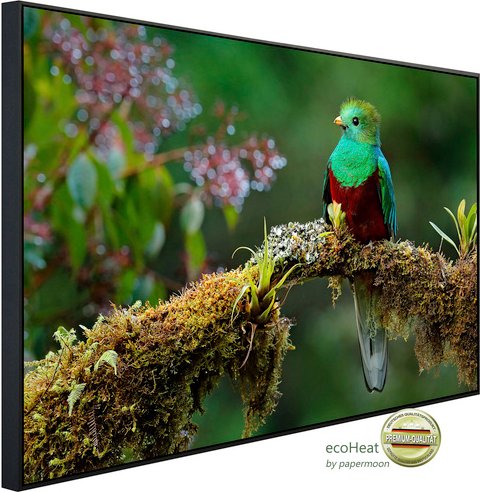 papermoon Infrarotheizung »EcoHeat - Vogel auf Ast«, Matt-Effekt - bunt