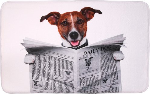 Sanilo Badteppich »Newspaper«, grau, Polyester