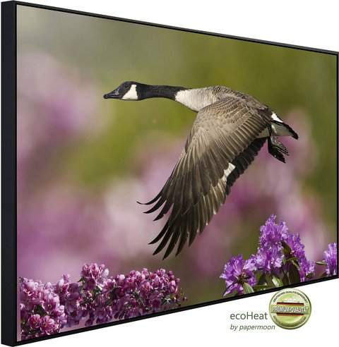 Thumbnail - papermoon Infrarotheizung »EcoHeat - Vogel mit Blumen«, Matt-Effekt - bunt