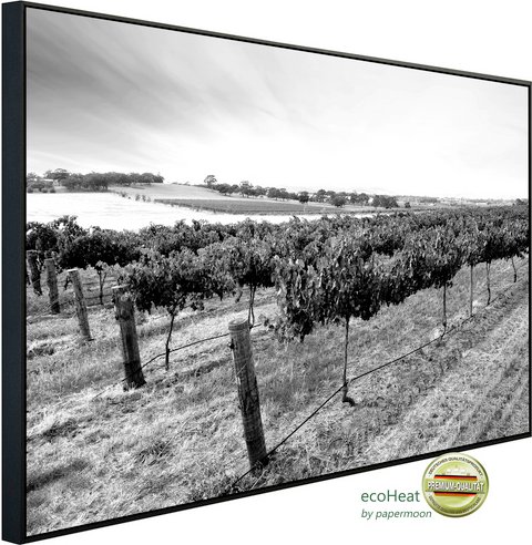 Thumbnail - papermoon Infrarotheizung »EcoHeat - Landschaft schwarz + weiss«, Matt-Effekt - bunt
