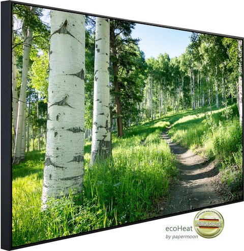 Thumbnail - papermoon Infrarotheizung »EcoHeat - Birkenbaumpfad«, Matt-Effekt - bunt