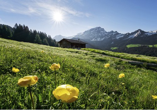 KOMAR Vliestapete »Alpenglück«, Breite 400 cm, seidenmatt - bunt