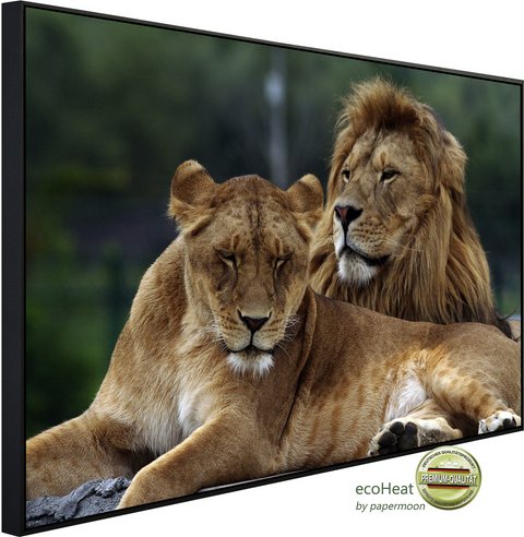 papermoon Infrarotheizung »EcoHeat - Löwen Pärchen «, Matt-Effekt - bunt