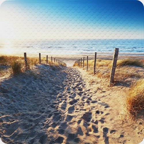 Sanilo Badematte »Düne«, 53 x 53 cm, Beige, Quadratisch