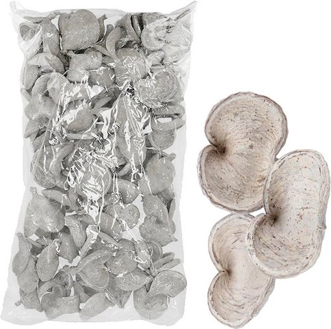 Flowerbox Nussschale - blau | weiss