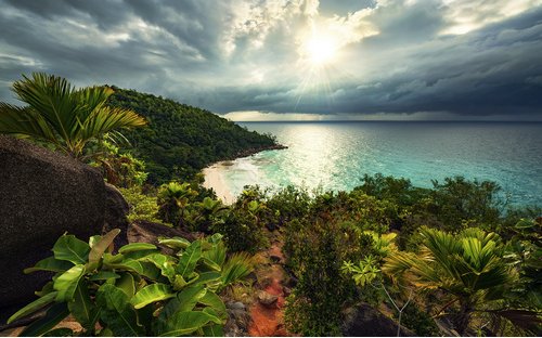 KOMAR Vliestapete »Garten«, Breite 450 cm, seidenmatt - bunt