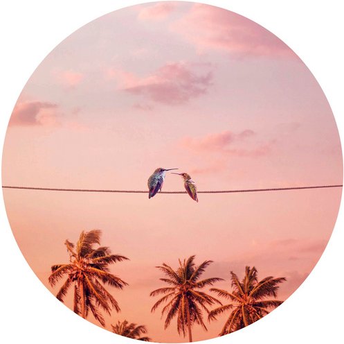 K&L Wall Art Vliestapete »Runde Vliestapete«, Loose Rosa Himmel Kolibri Liebe, mehrfarbig, matt - bunt