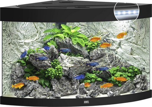 JUWEL AQUARIUM Trigon 190 LED Aquarium - schwarz