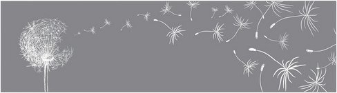 mySPOTTI Küchenrückwand »Pusteblume Grafik«, Aluverbund, Pusteblume