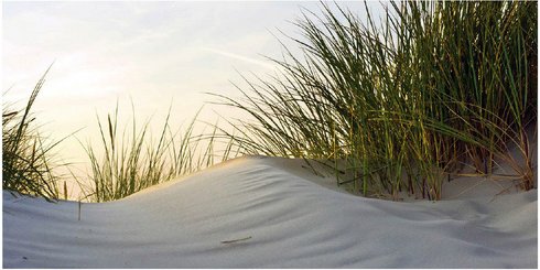 mySPOTTI Badrückwand »Dune«, BxH:90 cm x 45 cm, beige