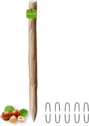 Floranica Zaunpfahl, 120 cm hoch, Ø 6-8 cm, Haselnussholz - braun