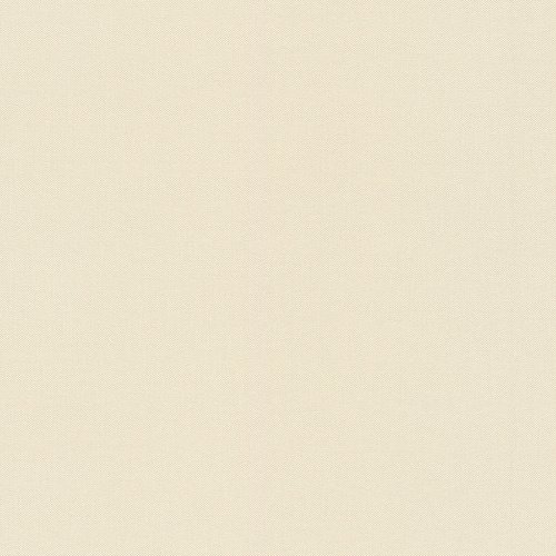 Rasch Vliestapete, Uni, beige, matt