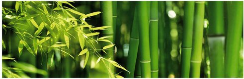 mySPOTTI Badrückwand »Bambus«, BxH:140 cm x 45 cm, grün