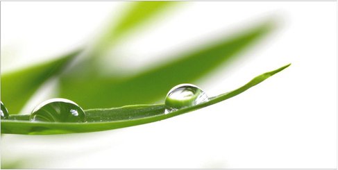 mySPOTTI Badrückwand »Fresh«, BxH:90 cm x 45 cm, grün