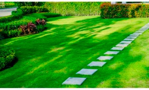 easygreen Schattenrasen »Easygreen Halbschattenrasen 12 m2«, 4