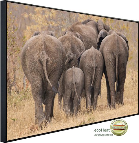 Thumbnail - papermoon Infrarotheizung »EcoHeat - Elefanten gehen weg«, Matt-Effekt - bunt