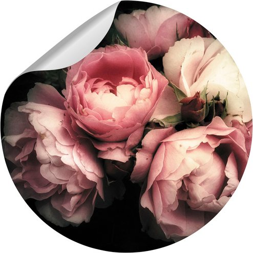mySPOTTI Vliestapete »Rosa«, Blumenmuster, rosa/schwarz, matt