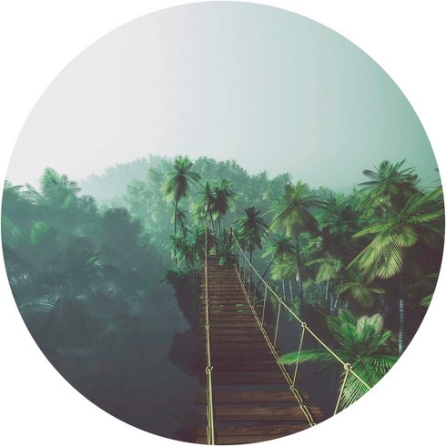 K&L Wall Art Vliestapete »Runde Vliestapete«, Hängebrücke Dschungel grüne, mehrfarbig, matt - bunt