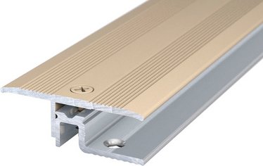 CARL PRINZ Übergangsprofil »PS 400«, BxH: 39 x 10 mm, versenkt gelocht - goldfarben