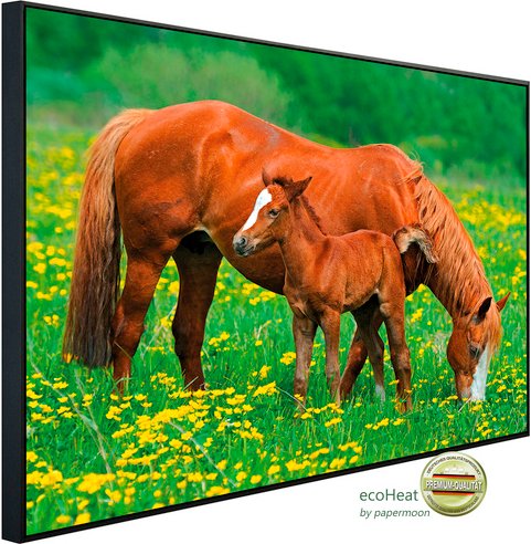 Thumbnail - papermoon Infrarotheizung »EcoHeat - Birkenwald«, Matt-Effekt - bunt