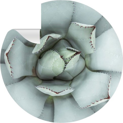 mySPOTTI Vliestapete »Agneta«, Blüte, türkis/schwarz, matt - tuerkis