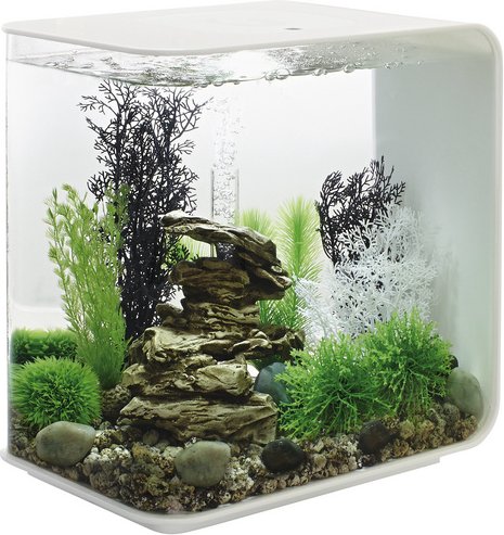 OASE Tabletop Aquarien »biOrb FLOW«, mit LED Beleuchtung, 30 l, weiss