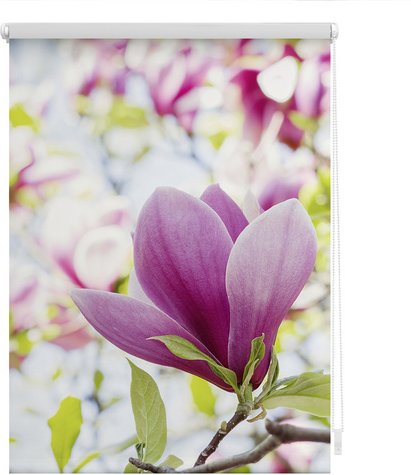 Thumbnail - Lichtblick Rollo, Klemmfix, 45x150 cm, Magnolie, rosa - rot