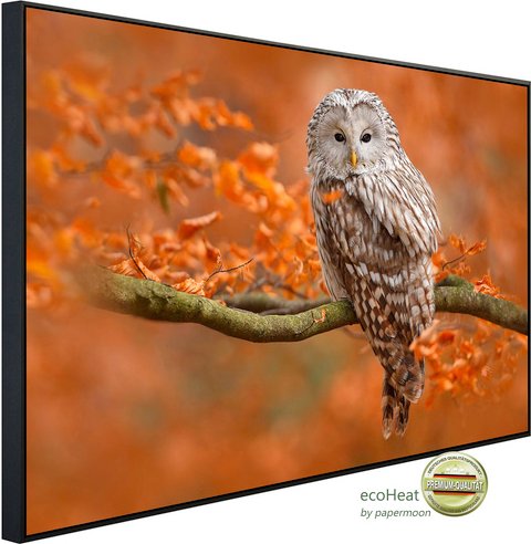papermoon Infrarotheizung »EcoHeat - Eule auf Ast«, Matt-Effekt - bunt
