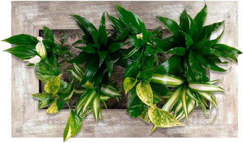 Pflanzenbild »Flowerwall«, BxHxT: 55 x 33 x 22 cm, silberfarben