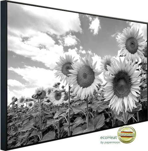 papermoon Infrarotheizung »EcoHeat - Sonnenblumen Schwarz + Weiss«, Matt-Effekt - bunt