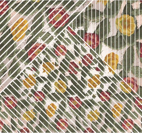 KOMAR Vliestapete »Cactus«, Breite 300 cm, seidenmatt - bunt