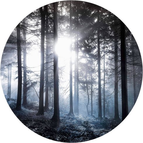 K&L Wall Art Vliestapete »Runde Vliestapete«, Sonnenstrahlen Wald Blau, mehrfarbig, matt - bunt