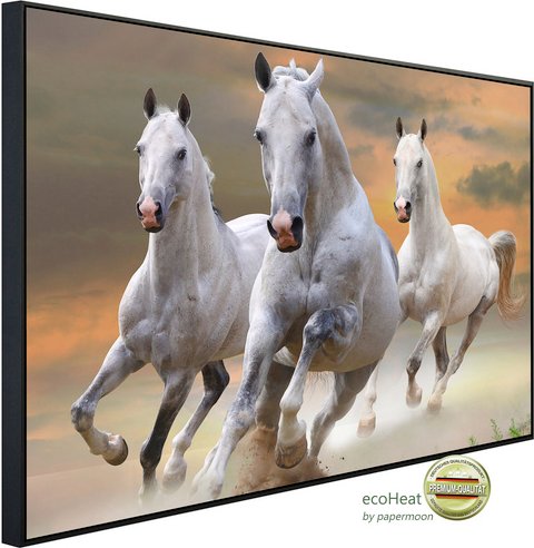 papermoon Infrarotheizung »EcoHeat - weisse Hengste im Staub«, Matt-Effekt - bunt