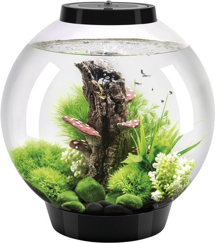OASE Tabletop Aquarien »biOrb CLASSIC«, mit LED Beleuchtung, 30 l, schwarz